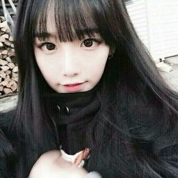 塔防乱斗官方版下载